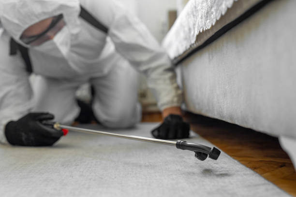 Professional Bed Bug Control technician working in Uniondale, NY