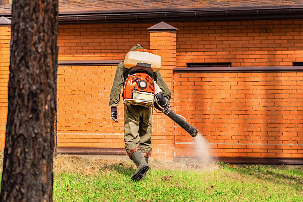 Trusted Rodent Control service in Uniondale, NY - Nex Pest Control